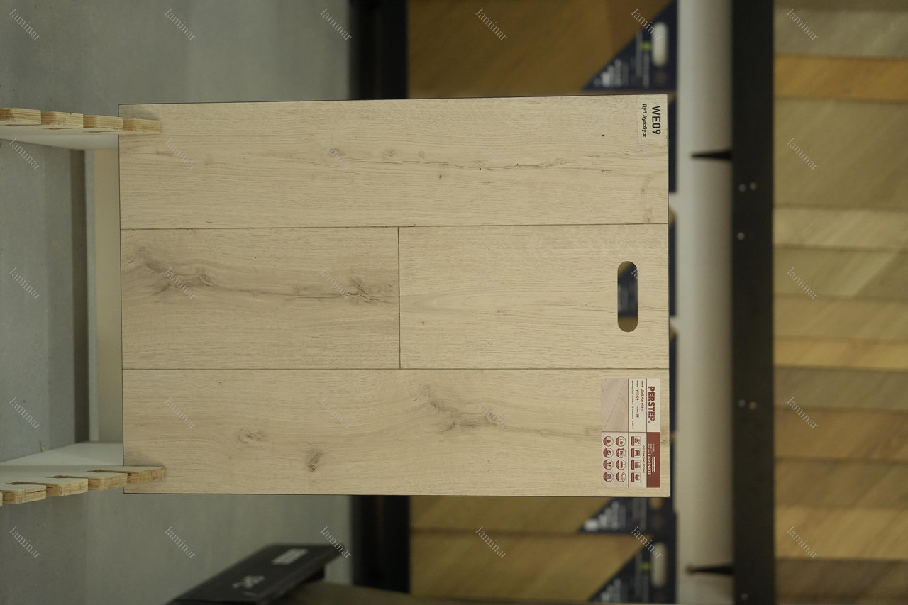 WE09 Дуб Аугсбург